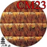 CM23