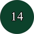 14 verde-inchis
