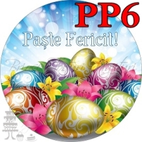PP6